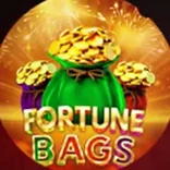 Fortune Bags — Amigo Gaming